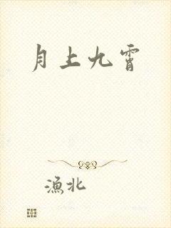 月上九霄封面