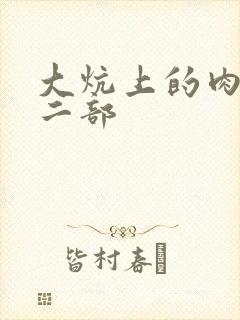大炕上的肉伦第二部