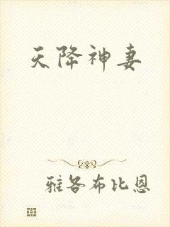 天降神妻