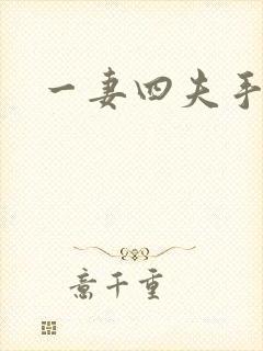 一妻四夫手记封面