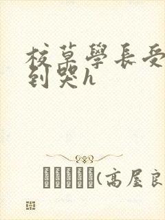 校草学长受被做到哭h