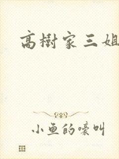 高树家三姐妹封面