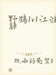 野鹤1v1江淮辞