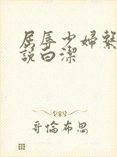 屈辱少妇系列小说白洁封面