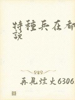 特种兵在都市小说