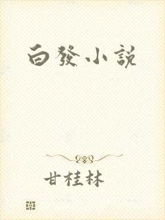 白发小说