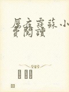 厉夜霆苏小汐免费阅读封面