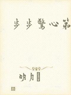 步步惊心第二部