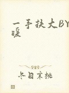 一手扶大BY泱暖