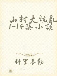 山村大炕乱肉续1-14集小说