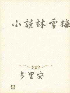 小说林雪梅