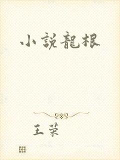 小说龙根