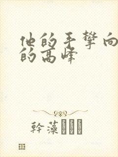 他的手攀向了我的高峰封面