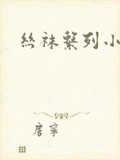 丝袜系列小说封面