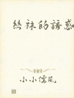 丝袜的诱惑小说封面