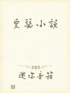 皇瑟小说