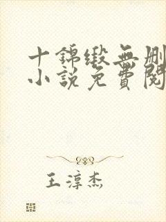 十锦缎无删原著小说免费阅读封面