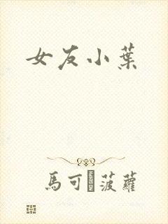 女友小叶封面