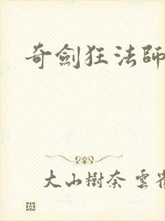 奇剑狂法师封面