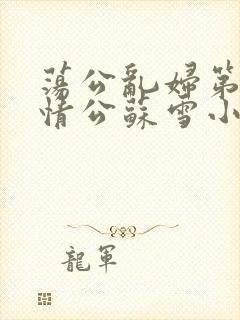 荡公乱妇第1章情公苏雪小说封面