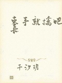 束手就擒吧韩队长