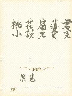 桃花扇落君不还小说免费完整版