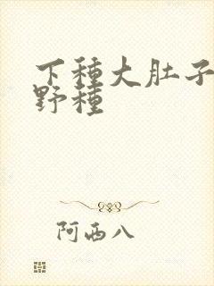 下种大肚子怀孕野种