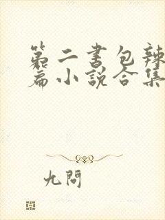 第二书包辣网短篇小说合集