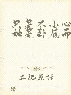 只是不小心发现她是卧底而已