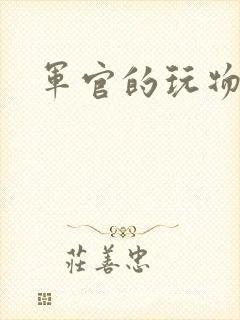 军官的玩物封面