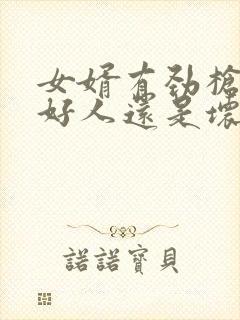 女婿有劲枪枪是好人还是坏人