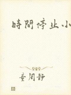时间停止小说