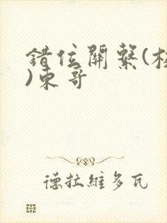 错位关系(校园)东哥