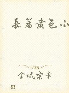 长篇黄色小说封面