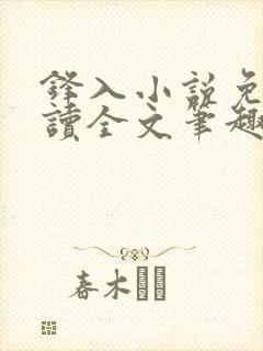 锋入小说免费阅读全文笔趣阁封面