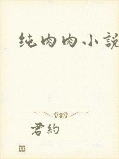 纯肉肉小说