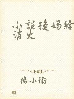 小说后妈给我消消火