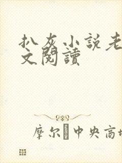 扒灰小说老马全文阅读