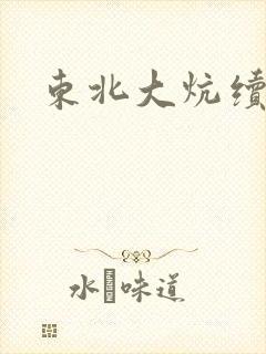 东北大炕续集封面