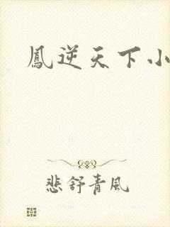 凤逆天下小说封面