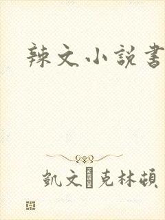 辣文小说书包网