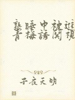 熟睡中被进了H青梅诱哄视频