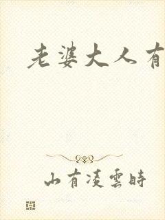 老婆大人有点暖封面