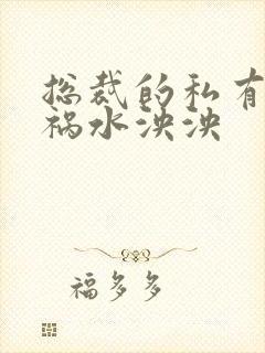 总裁的私有宝贝祸水泱泱封面