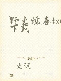 野火烧春txt下载