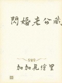 闪婚老公藏不住封面