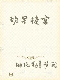 明星后宫