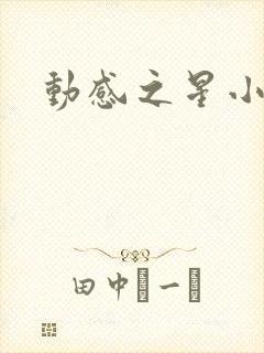 动感之星小蝶封面