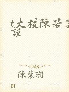 t大校陈若芸小说