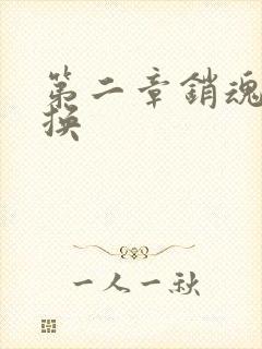 第二章销魂的交换